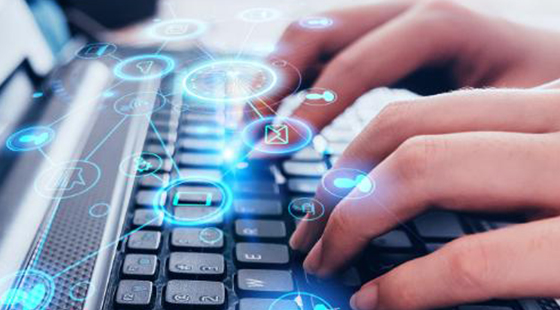 麻豆app丨IT 技术驱动可持续发展