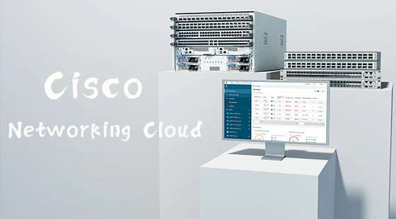 麻豆app｜打造统一体验，释放创新潜能